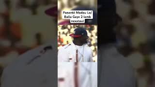 Napanté Modou Lo/Balla Gaye 2 lamb nexatoul #viral #luttetv #lambsenegal #modoulo #dakar #shorts