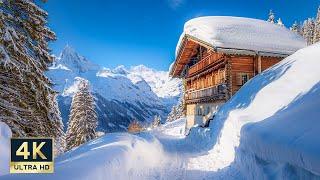 Winter Wonderland Mürren Switzerland 4K Snow Walking Tour 2025