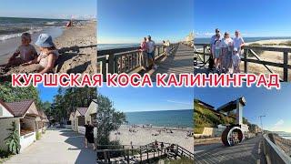 VLOG: СВЕТЛОГОРСК/ КУРШСКАЯ КОСА-ДЮНЫ/ Танцующий лес КАЛИНИНГРАД