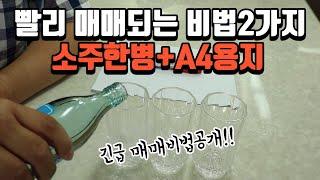 [풍수꿀팁-매매비법 #112] 빨리 매매(전세)되는 비법 2가지를 소개해 드립니다~