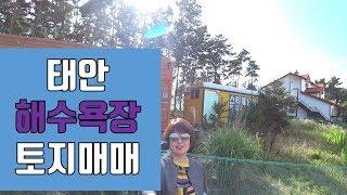 [매물1]태안바다땅2 (태안 미갱이)