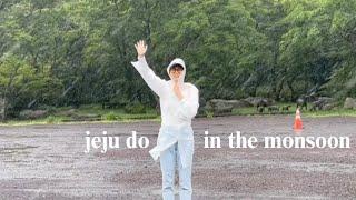 VLOG jeju do during the monsoon season #jejudo #jejuisland #jeju #koreavlog