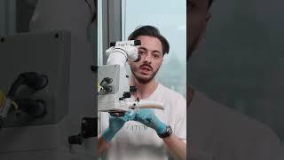 Особенности анатомии зуба 3.4 #dentist #доктор #zumax #stommarket #kerr #restart