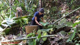 Full video, Mother and daughter days, building a life in a difficult, rural area.