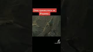 Они стояли насмерть в донских степях .Чтобы мы жили .
