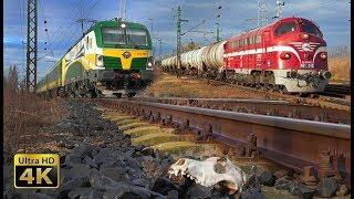 Fast trains in Hungary - 160km/h - Budapest - Gyor rail traffic (Nagyszentjanos) [4K]