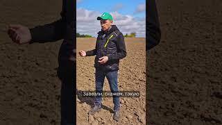 Соя. Как избавиться от падалицы подсолнечника? #сельскоехозяйство #растениеводство #агробизнес
