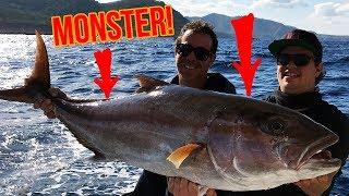 Amberjack und Thunfisch angeln vor Ibiza | Teil 2 | hechtundbarsch.de