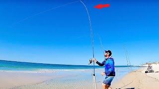 Unexpected CATCHES! Fill The Day Surf Fishing!