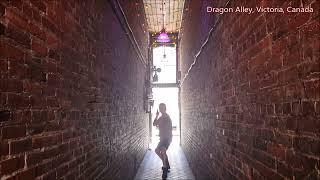 encountering rapier fencing in an alley 골목길에서 레이피어를 본다면.., #shorts