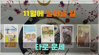 타로 운세 -  11월 총 운세 (직업 | 금전 | 관계운)