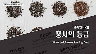 [Sub] 홍차 등급 쉽게 알기 / Black tea leaf grades / 紅茶の等級 #한국티소믈리에연구원