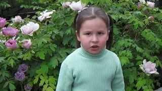 КО ДНЮ ПОБЕДЫ!!!