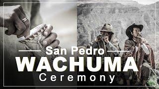 Wachuma (San Pedro) ceremony