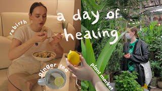 a day alone  healing mental growing pains, Seoul plant market & cooking | Sissel