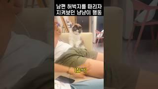 "눈치가 없다냥?.." 집사 마음 200% 이해하는 냥냥이 행동