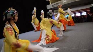 Oriental Dance Troupe - Taste of OSU 2017 (Short): DSC 1383