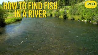 How To Find Fish In A River