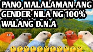 PANO MAG GENDER NG 100% KAHIT WALANG D.N.A