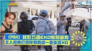 【RUNNING MAN】錄影巧遇EXO燦烈遛狗 主人熱情打招呼狗狗卻一直後退XD