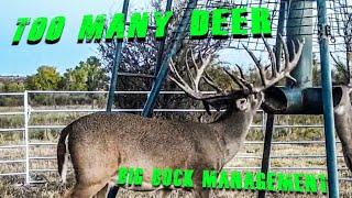 Monster Buck Game Survey on The Mendota Ranch