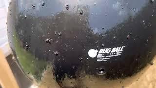 Bug Ball sticky fly and bug trap review #2 black