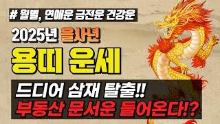 [신년 운세]2025년 을사년 용띠 운세 연애운 금전운 건강운 문서운