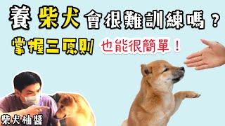 柴犬 會難訓練嗎？三個方法一次搞定️這個口訣要記下來哦️ ｜柴犬柚醬 醬拔頻道｜