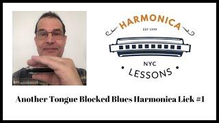 Tongue Blocked Blues Harmonica Licks #1