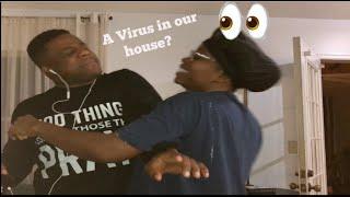 The Response to the Virus in the Dove house | Doves Nest