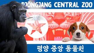 Korea Central Zoo (Pjöngjang) | Nordkoreas seltsamer Staatszoo