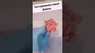 проба новой формы для шоколадных цветов #бизнес #бизнеснапоказ #пробизнес #покровскаяанна