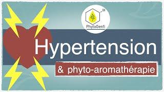 hypertension, la réponse de la phyto-aromathérapie