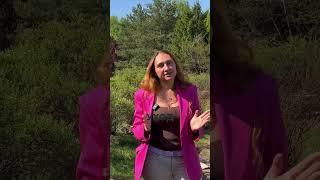 ЛАНДШАФТНЫЙ ДИЗАЙН СВОИМИ РУКАМИ УЖЕ ЭТИМ ЛЕТОМ! 5 ГЛАВНЫХ ШАГОВ К ВОПЛОЩЕНИЮ. ДИЗАЙН САДА, УЧАСТКА.