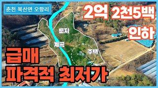 아쉬운 눈물의 매도.엄청난 가격인하로 무조건 재업로드합니다