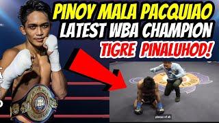 LATEST! PINOY HALIMAW MALA PACQUIAO SA LAKAS | BAGSAK ANG TIGRE NG INDONESIA