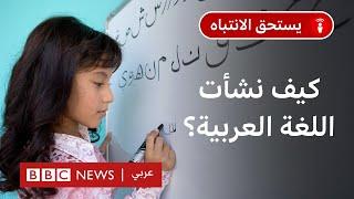 ما أصل اللغة العربية؟ وهل هي لغة مشتقة من غيرها؟