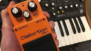 Moog Synth with Boss DS-1 Distortion