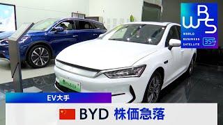 中国BYD 株価急落　EV大手【WBS】（2024年3月27日）