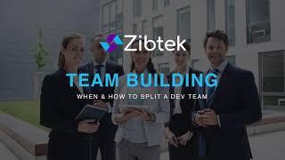 Software Development Team Structure & Size: Scrum vs Agile | Zibtek's Guide