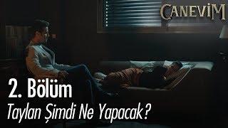 Taylan şimdi ne yapacak? - Canevim 2. Bölüm