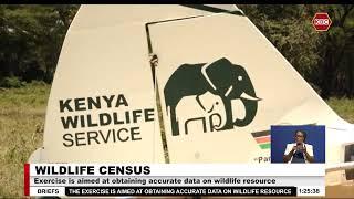 2nd phase of survey at Lake Nakuru National Park & Bird Sanctuary