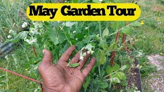 MAY GARDEN TOUR|  1 ACRE FOOD FOREST | HERB GARDEN