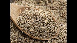E146 Healing Greek Spice~Anise Seed