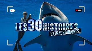 Les 30 histoires les plus extraordinaires - Emission spéciale histoires sensationnelles | PE01-2017