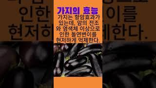 가지의 효능 #건강정보 #100세건강 #건강식품