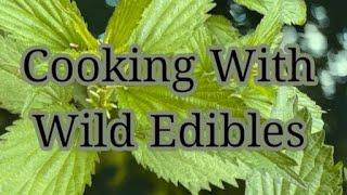 COOKING WITH WILD EDIBLES~ Stinging Nettle
