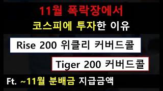 폭락장에서 코스피 지수에 투자한 이유 | 11월 분배금 지급이력 | Rise 200 위클리커버드콜, Tiger 200 커버드콜