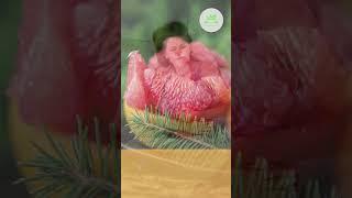 Những người không nên ăn bưởi | Shorts | Dinh dưỡng & Sức Khỏe