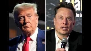  Democrats FINALLY discover strategy to DEFEAT TRUMP & ELON